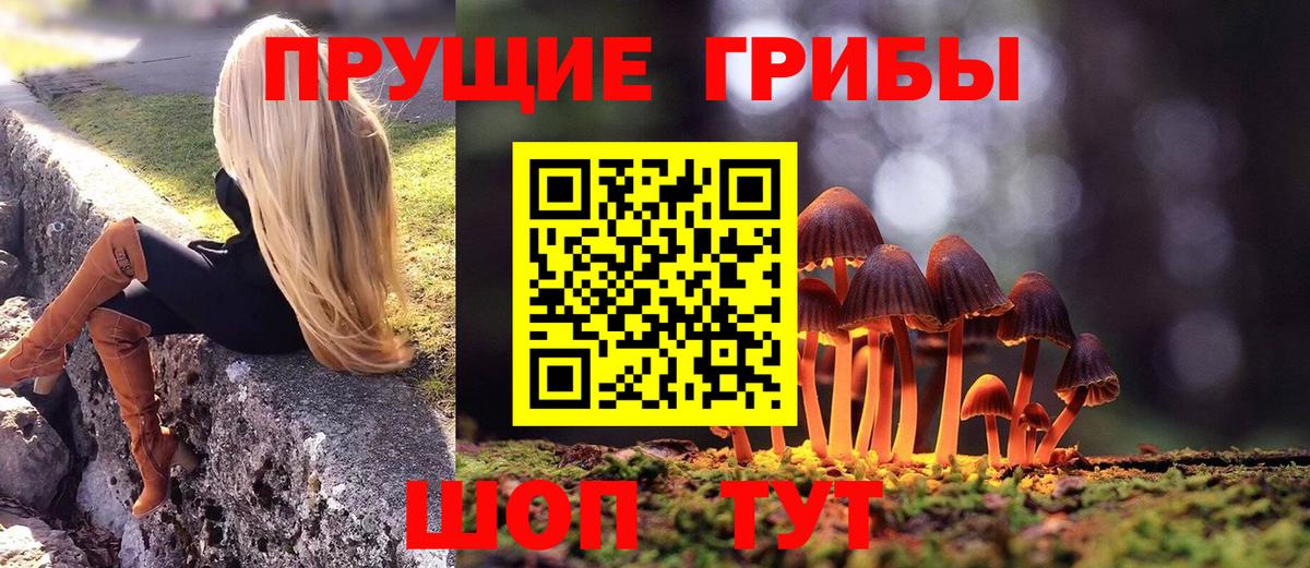 Галлюциногенные грибы Psilocybe Карталы